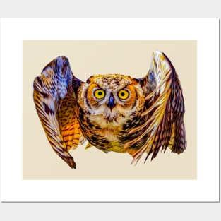 Great Horned Owl Posters and Art